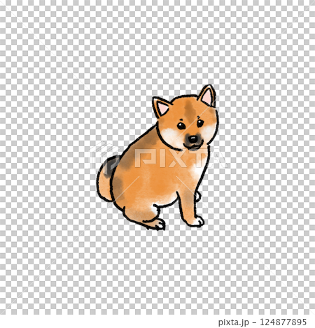 かわいい柴犬の子犬のイラスト かわいい柴犬の子犬のイラスト 124877895