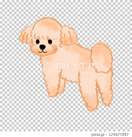 毛茸茸的玩具貴賓犬插圖 124877897