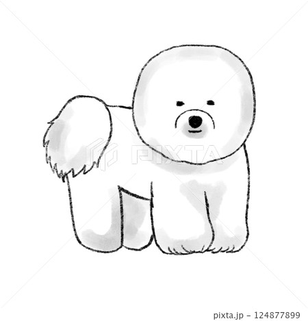 ビションフリーゼのイラスト ビションフリーゼのイラスト 124877899