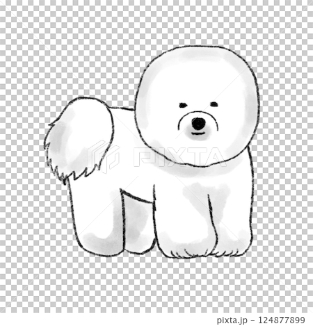 ビションフリーゼのイラスト ビションフリーゼのイラスト 124877899