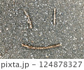 枝でニコニコ顔 124878327