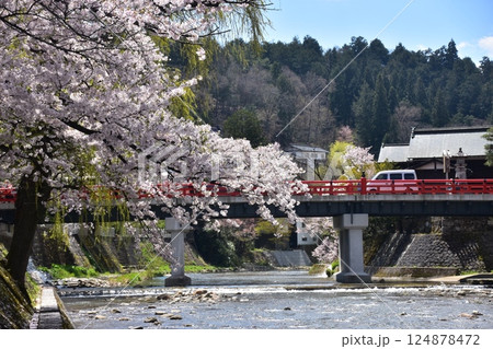 日本の岐阜県　春の高山市　満開の桜と観光名所の中橋と宮川　周辺の街並みと美しい青空 124878472