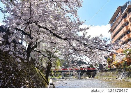 日本の岐阜県　春の高山市　満開の桜と観光名所の中橋と宮川　周辺の街並みと美しい青空 124878487