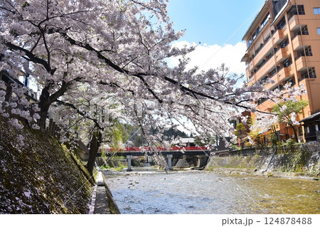 日本の岐阜県　春の高山市　満開の桜と観光名所の中橋と宮川　周辺の街並みと美しい青空 124878488