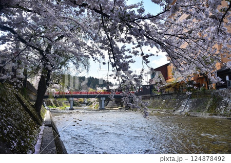 日本の岐阜県　春の高山市　満開の桜と観光名所の中橋と宮川　周辺の街並みと美しい青空 124878492