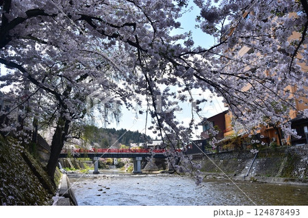 日本の岐阜県　春の高山市　満開の桜と観光名所の中橋と宮川　周辺の街並みと美しい青空 124878493