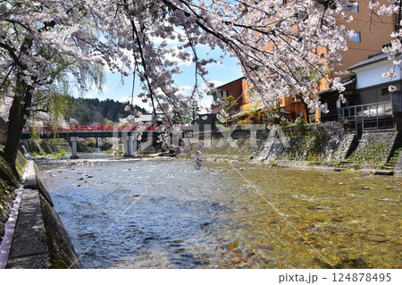 日本の岐阜県　春の高山市　満開の桜と観光名所の中橋と宮川　周辺の街並みと美しい青空 124878495