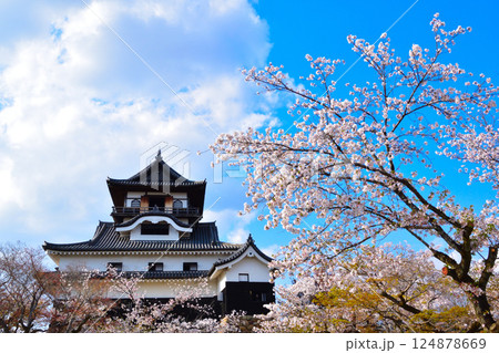 春　桜　犬山城 124878669