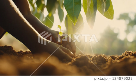 African child planting seedling in sunlight, concept of growth and environment, Earth Day African child planting seedling in sunlight, concept of growth and environment, Earth Day 124879025