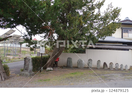 信州 松本の文化財 渚町 本村地区の双体道祖神 天明2年 1782年造立 信州 松本の文化財 渚町 本村地区の双体道祖神 天明2年 1782年造立 124879125