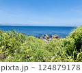 夏休みに行った初島の海 124879178