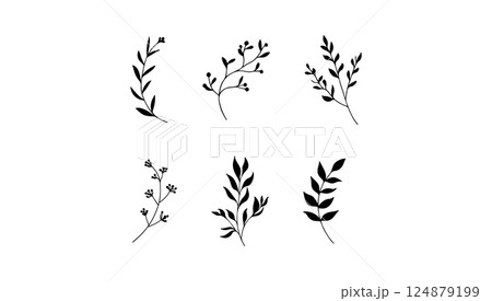 Bold silhouette botanical element. A bold silhouette botanical element with high contrast leaf and plant shapes. 124879199