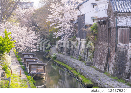 満開の桜と八幡堀（滋賀県近江八幡） 124879294