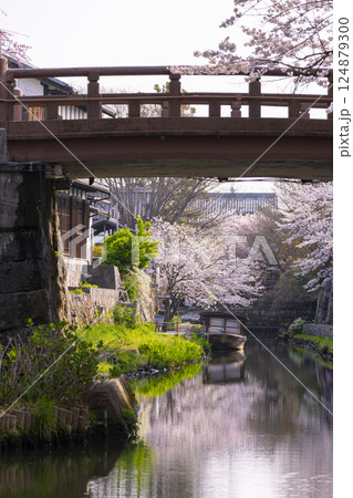 満開の桜と八幡堀（滋賀県近江八幡） 124879300