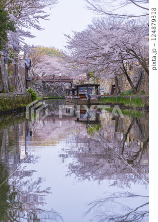 満開の桜と八幡堀（滋賀県近江八幡） 124879318