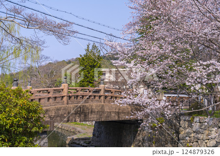 満開の桜と八幡堀（滋賀県近江八幡） 124879326