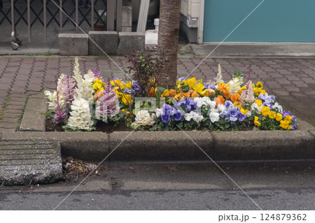 道路沿いの花壇 124879362