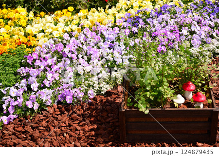色々な花が咲き誇る春花壇 色々な花が咲き誇る春花壇 124879435