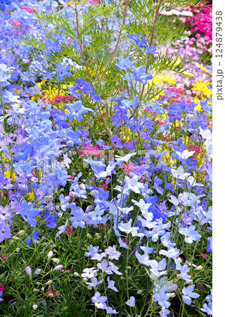 色々な花が咲き誇る春花壇 124879438