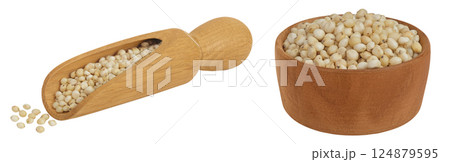 Sorghum seeds in wooden bowl and scoop isolated on white background with full depth of field. Sorghum seeds in wooden bowl and scoop isolated on white background with full depth of field. 124879595