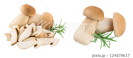 Fresh porcini cep mushroom isolated on white background with full depth of field 124879617