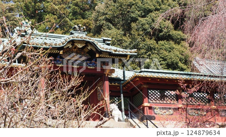 国宝 久能山東照宮 国宝 久能山東照宮 124879634