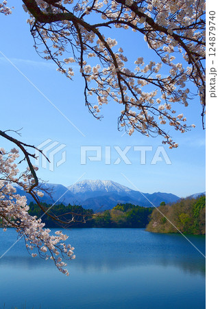 桜と雪山と湖 124879740