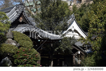 大寒を迎えた国の史跡「東禅寺」 大寒を迎えた国の史跡「東禅寺」 124880000