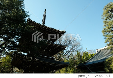 大寒を迎えた国の史跡「東禅寺」 大寒を迎えた国の史跡「東禅寺」 124880001