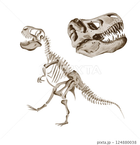 Dinosaur rex. Theranosaurus skeleton. Ancient fossil. Museum exhibit. Jurassic time. Watercolor illustration isolated from background. Hand drawing. Predator skull. Vintage. High quality illustration Dinosaur rex. Theranosaurus skeleton. Ancient fossil. Museum exhibit. Jurassic time. Watercolor illustration isolated from background. Hand drawing. Predator skull. Vintage. High quality illustration 124880038