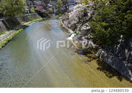 日本の岐阜県　春の高山市　観光名所の中橋の上から見た風景　満開の桜と周辺の街並み　美しい新緑と宮川 124880530