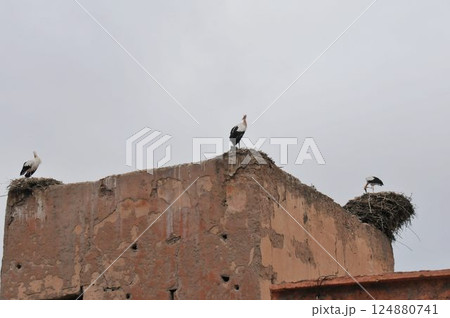 モロッコ、マラケシュ、メディナ、旧市街、ジャマ・エル・フナ広場、コウノトリ モロッコ、マラケシュ、メディナ、旧市街、ジャマ・エル・フナ広場、コウノトリ 124880741