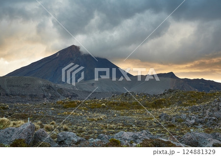 Volcanic Landscape, Tongariro National PArk 124881329