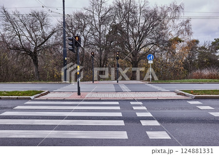 Crossing for pedestrians 124881331