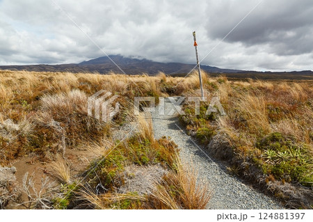 Volcanic Landscape hiking trail Tongariro, New Zealand Volcanic Landscape hiking trail Tongariro, New Zealand 124881397