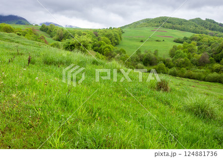 pasture on hill in rural landscape in spring. highland of ukraine. scenic nature scenery with green grass and foliage on a rainy day. clouds on the sky above the distant mountain. rain drip pasture on hill in rural landscape in spring. highland of ukraine. scenic nature scenery with green grass and foliage on a rainy day. clouds on the sky above the distant mountain. rain drip 124881736
