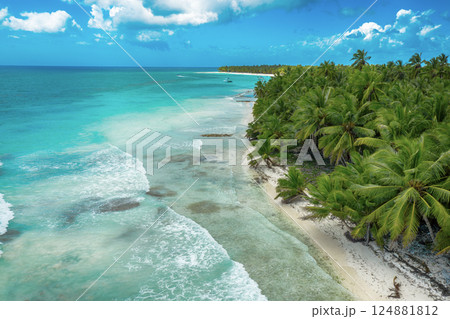Tropical Caribbean beach from above, Dominican Republic 124881812