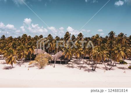 Tropical Caribbean beach, Dominican Republic 124881814
