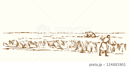 Vector drawing. Reapers in the field 124881901
