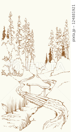 Vector landscape. A dirt road in the forest 124881921