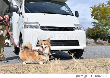 コーギーのキャンピングカー旅行 コーギーのキャンピングカー旅行 124882090