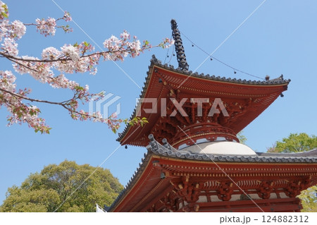桜と寺院と 桜と寺院と 124882312