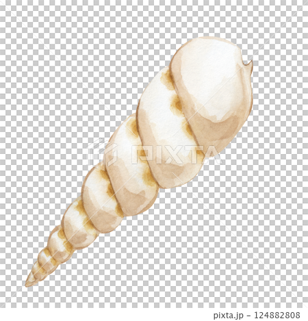 Watercolor seashell isolated on a white background. The hand-drawn illustration is perfect for any marine-style design and summer vacation. Watercolor seashell isolated on a white background. The hand-drawn illustration is perfect for any marine-style design and summer vacation. 124882808