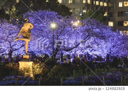 名古屋市、鶴舞公園の夜桜 124882928