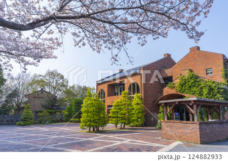 満開の桜とクラブハリエ日牟禮館（滋賀県近江八幡市） 124882933