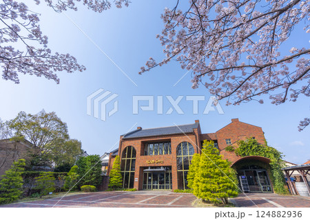 満開の桜とクラブハリエ日牟禮館（滋賀県近江八幡市） 124882936