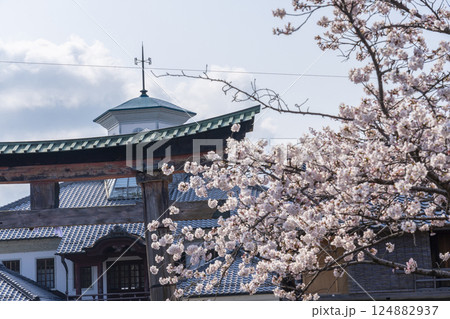 近江八幡　満開の桜と白雲館 124882937