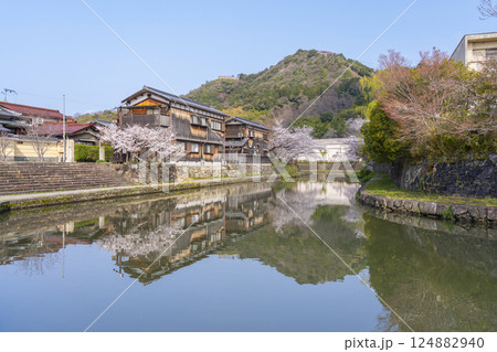 近江八幡　八幡堀に映る桜咲く八幡山 124882940