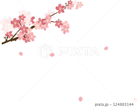 桜 桜 124883144