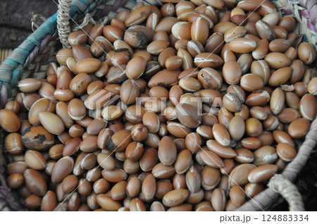 モロッコ、カスバ街道、アルガンの実、アルガンオイル店、特産品 124883334